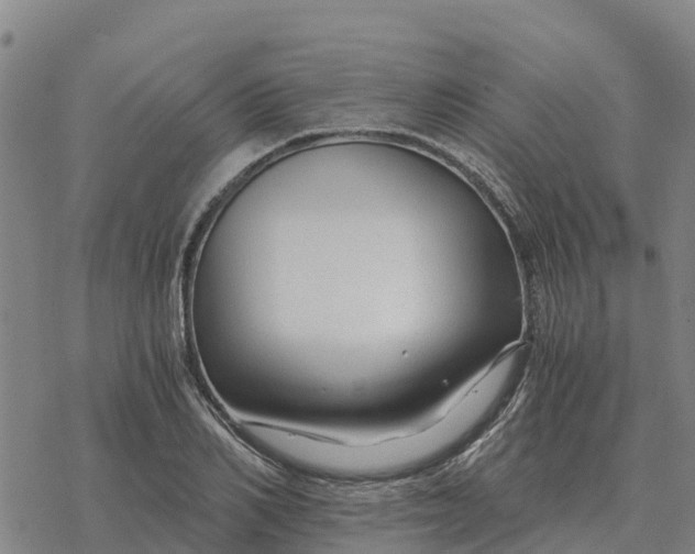 X0000076430982200610271729