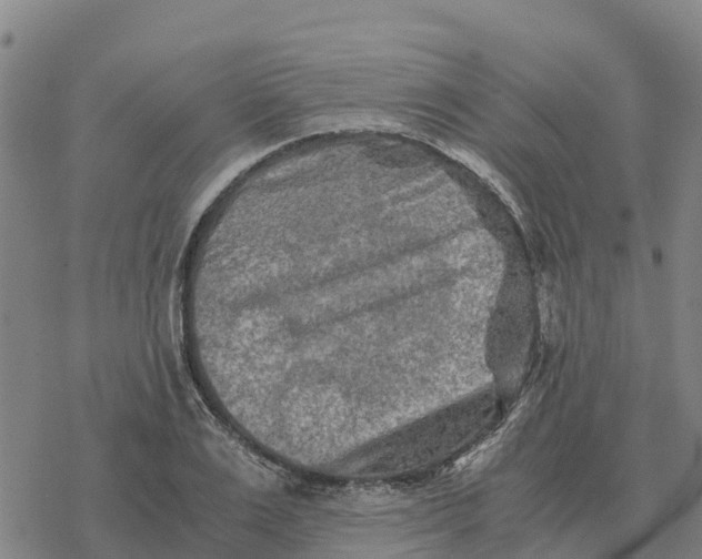 X0000076430983200610271729