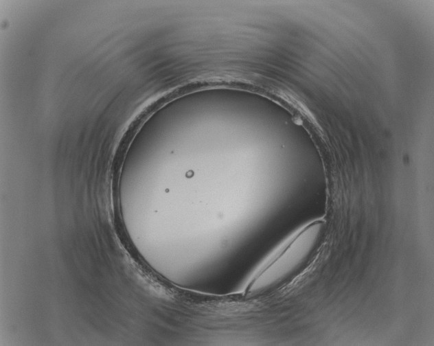 X0000076430984200610271729