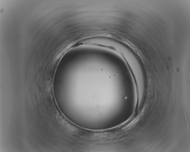 X0000076430985200610271729