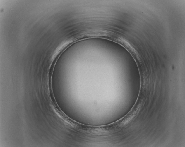 X0000076430986200610271729