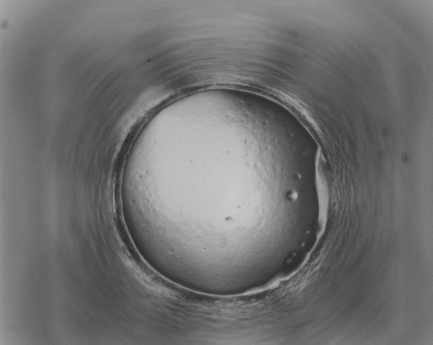 X0000076430987200610271729