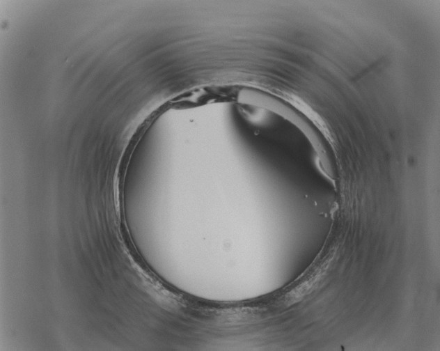 X0000076430988200610271729