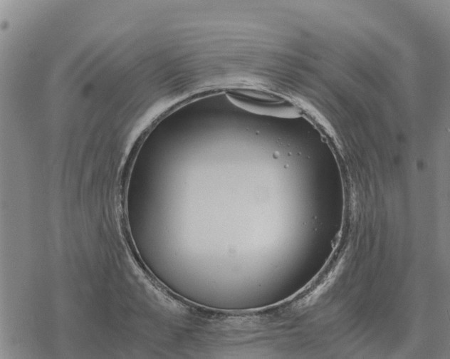 X0000076430989200610271729