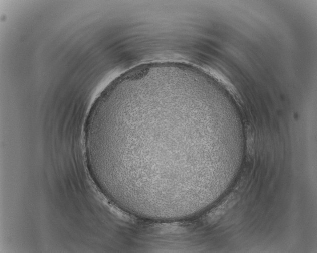 X0000076430990200610271729