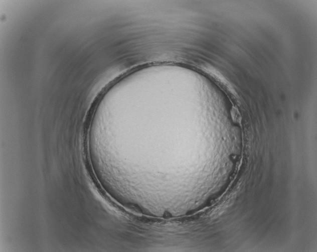 X0000076430991200610271729