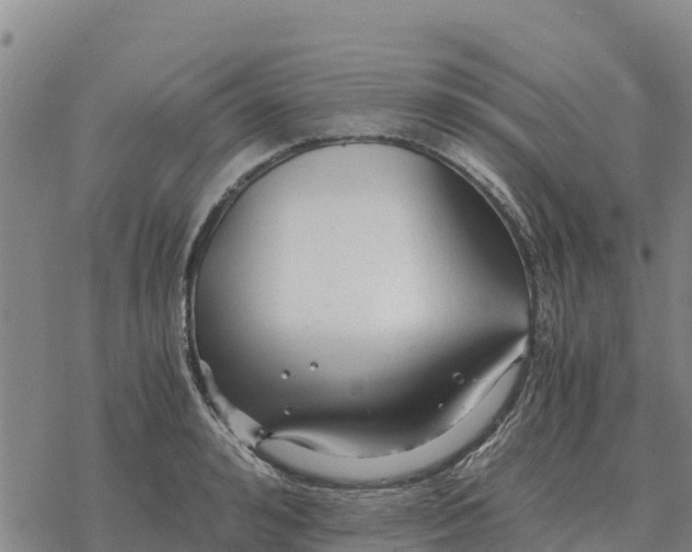 X0000076430992200610271729