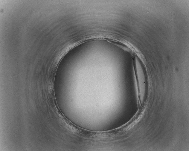 X0000076430993200610271729