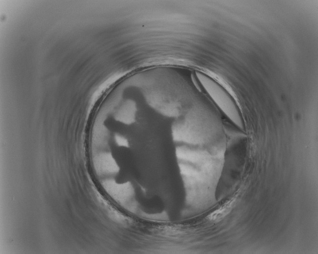 X0000076430995200610271728