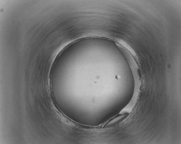 X0000076430996200610271728