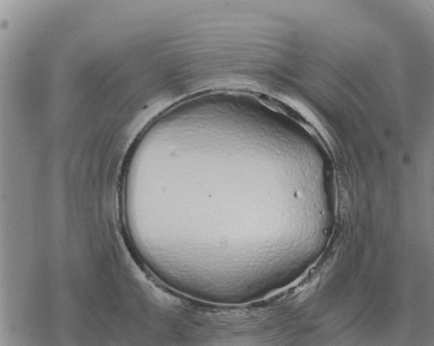 X0000076430999200610271728