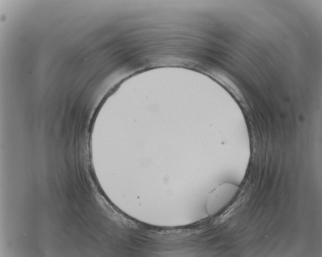 X0000076431000200610271728