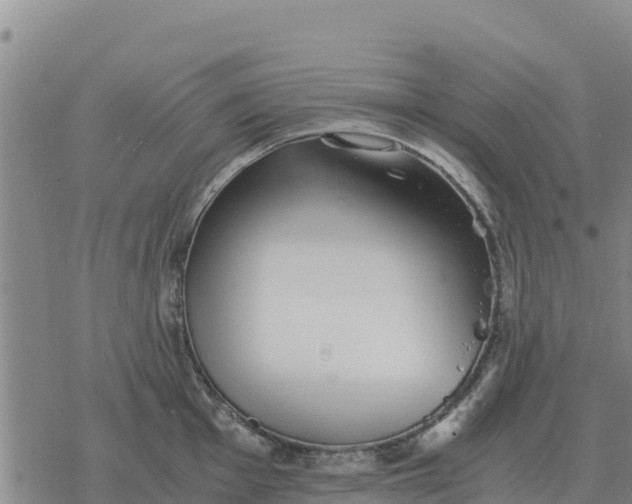 X0000076431001200610271728