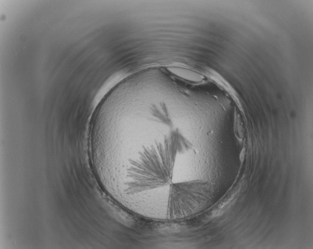 X0000076431002200610271728