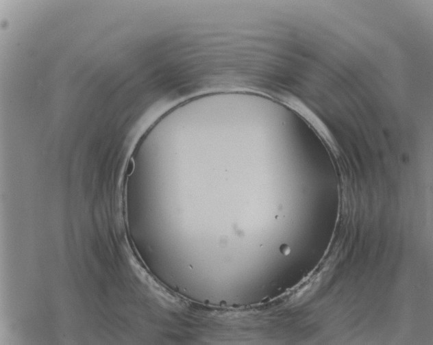 X0000076431004200610271728