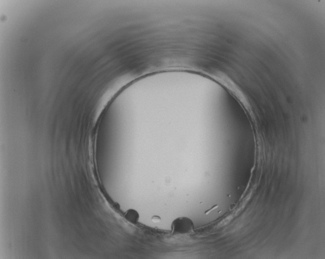 X0000076431006200610271728