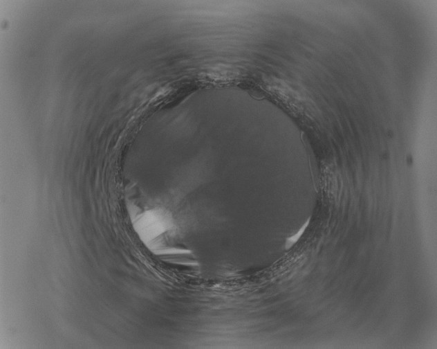 X0000076431009200610271727