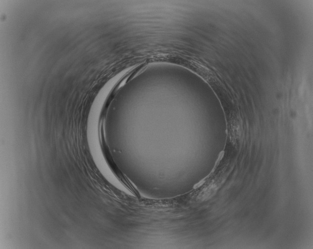 X0000076431010200610271728