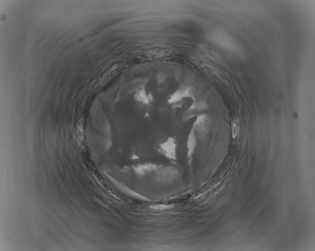 X0000076431011200610271728