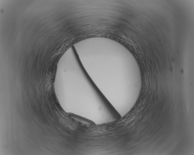 X0000076431012200610271728