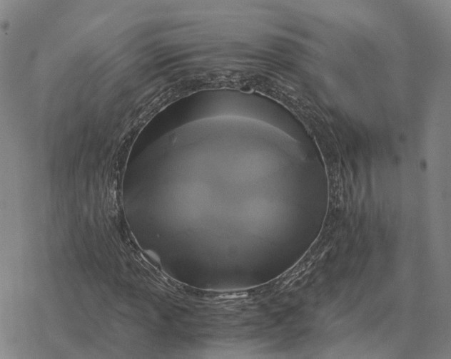 X0000076431013200610271728