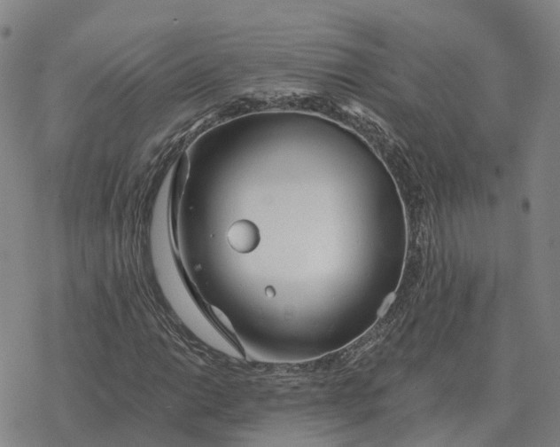 X0000076431014200610271728