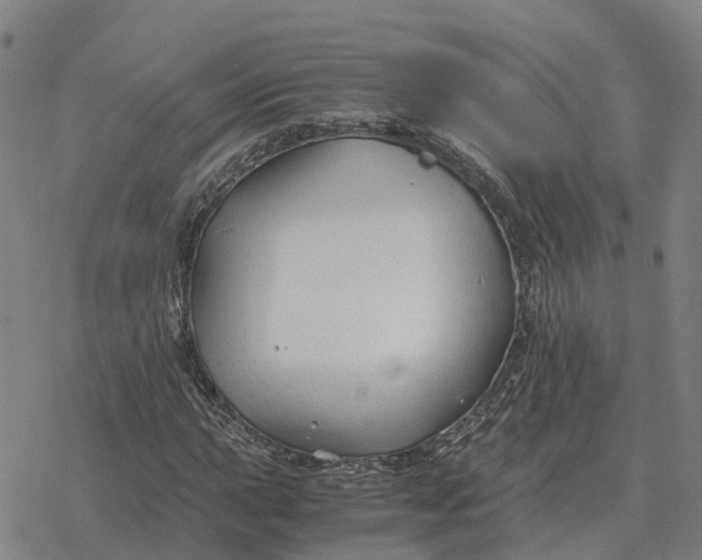 X0000076431015200610271728