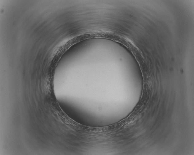 X0000076431016200610271728