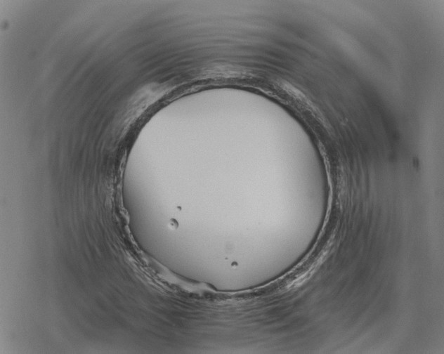 X0000076431017200610271728