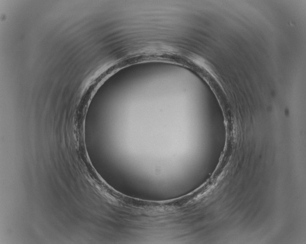 X0000076431018200610271728