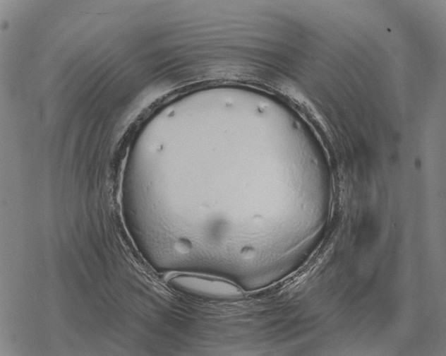 X0000076431019200610271728