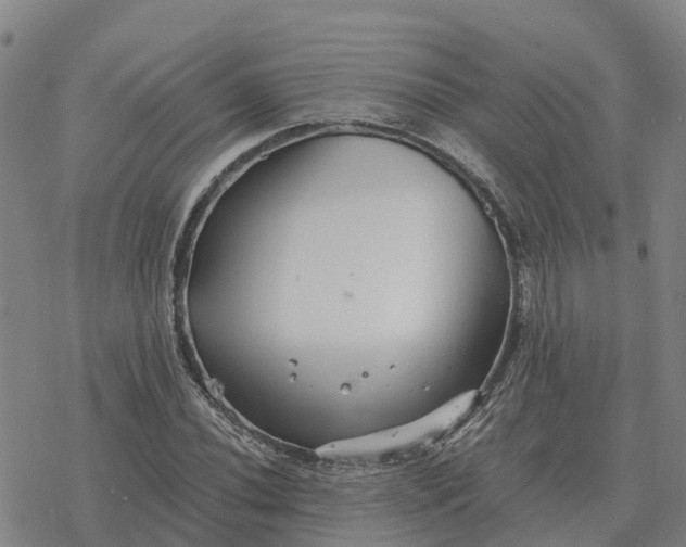 X0000076431020200610271728