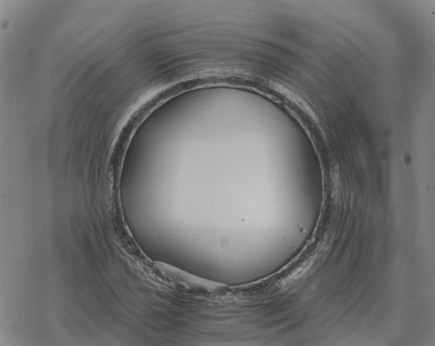 X0000076431021200610271728