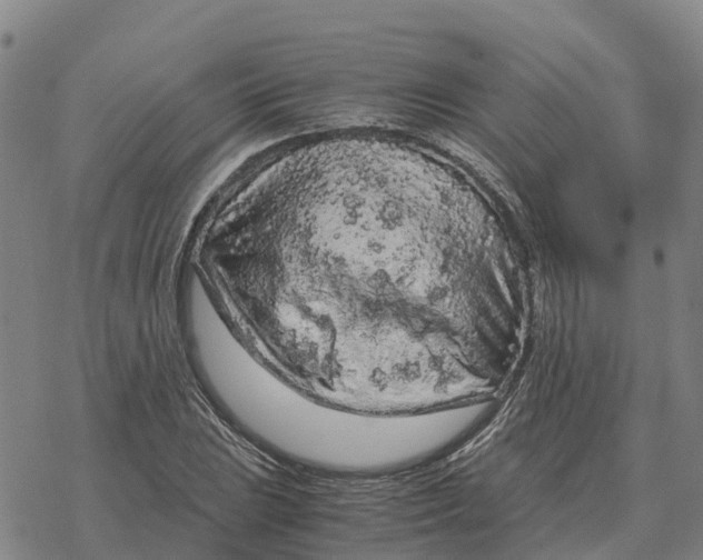 X0000076431023200610271728