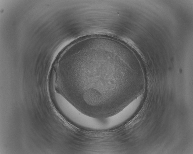 X0000076431024200610271728