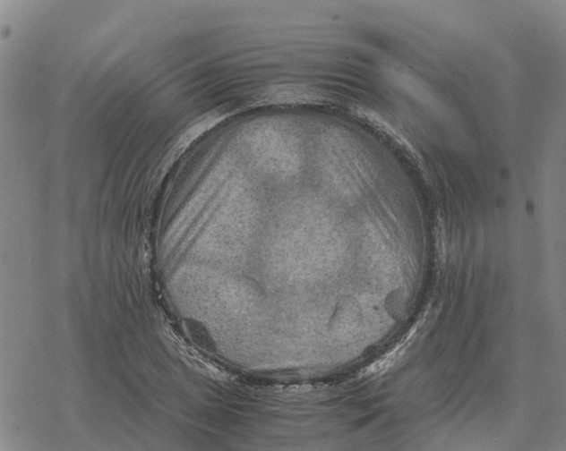 X0000076431025200610271728