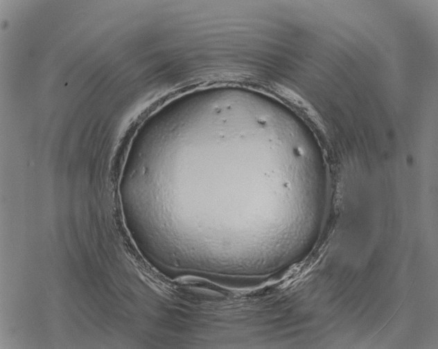 X0000076431027200610271728