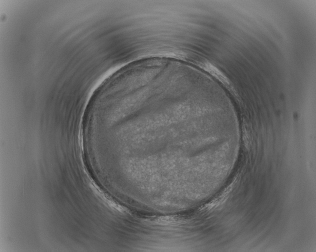 X0000076431028200610271728