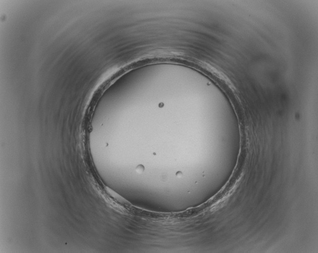 X0000076431029200610271728