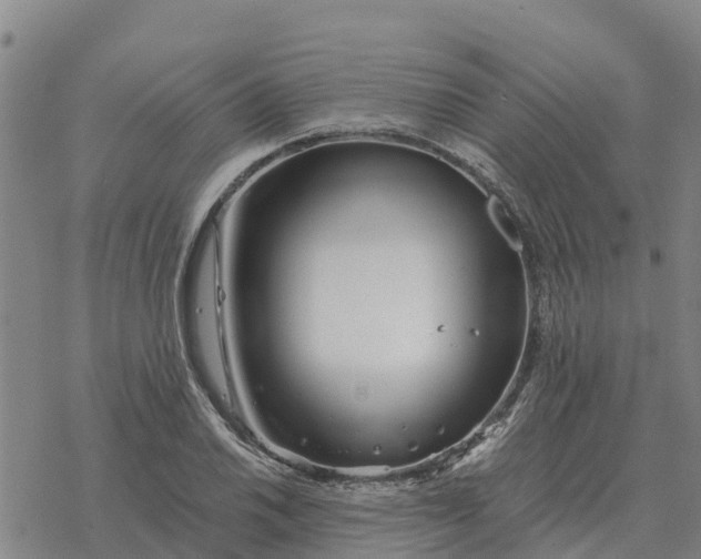 X0000076431030200610271728