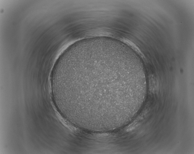 X0000076431031200610271728