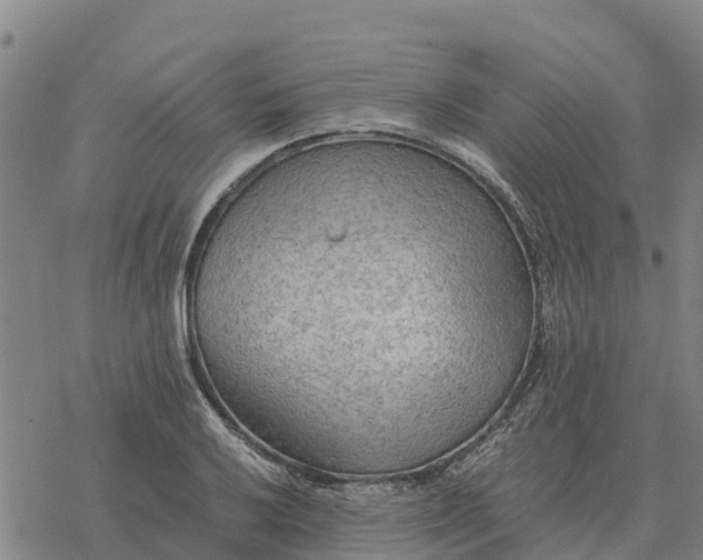 X0000076431032200610271728