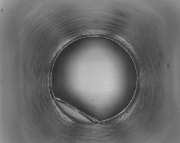 X0000076431033200610271728