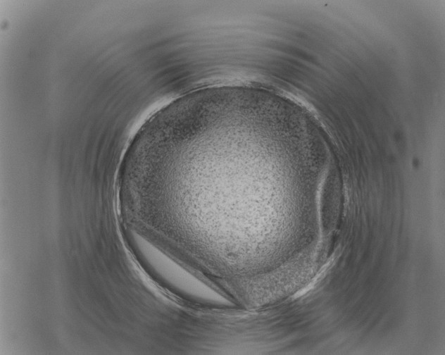 X0000076431034200610271728