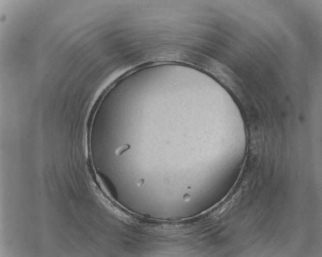 X0000076431036200610271728