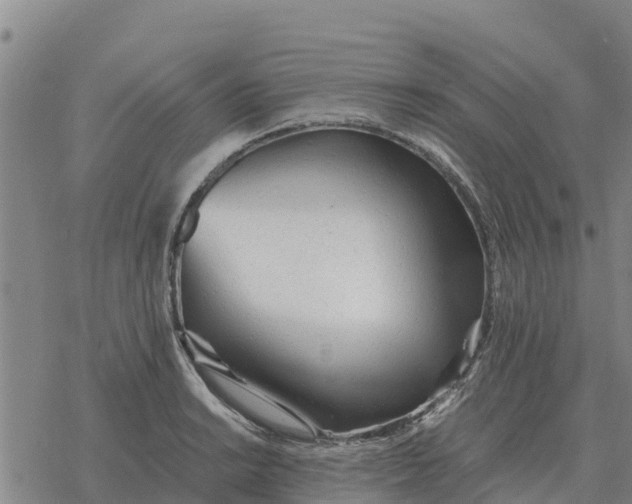 X0000076431038200610271728