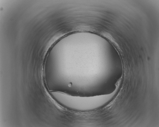 X0000076431040200610271728