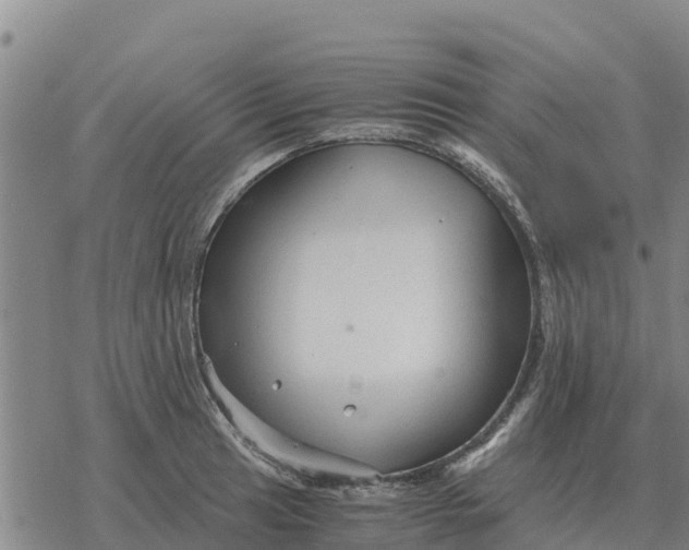 X0000076431041200610271728