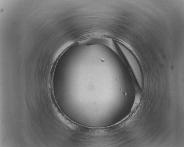 X0000076431042200610271728