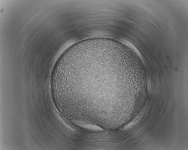 X0000076431043200610271728